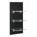 Badsanitaer LED-Panel Lino mit 3 Glasablagen schwarz EEK:...
